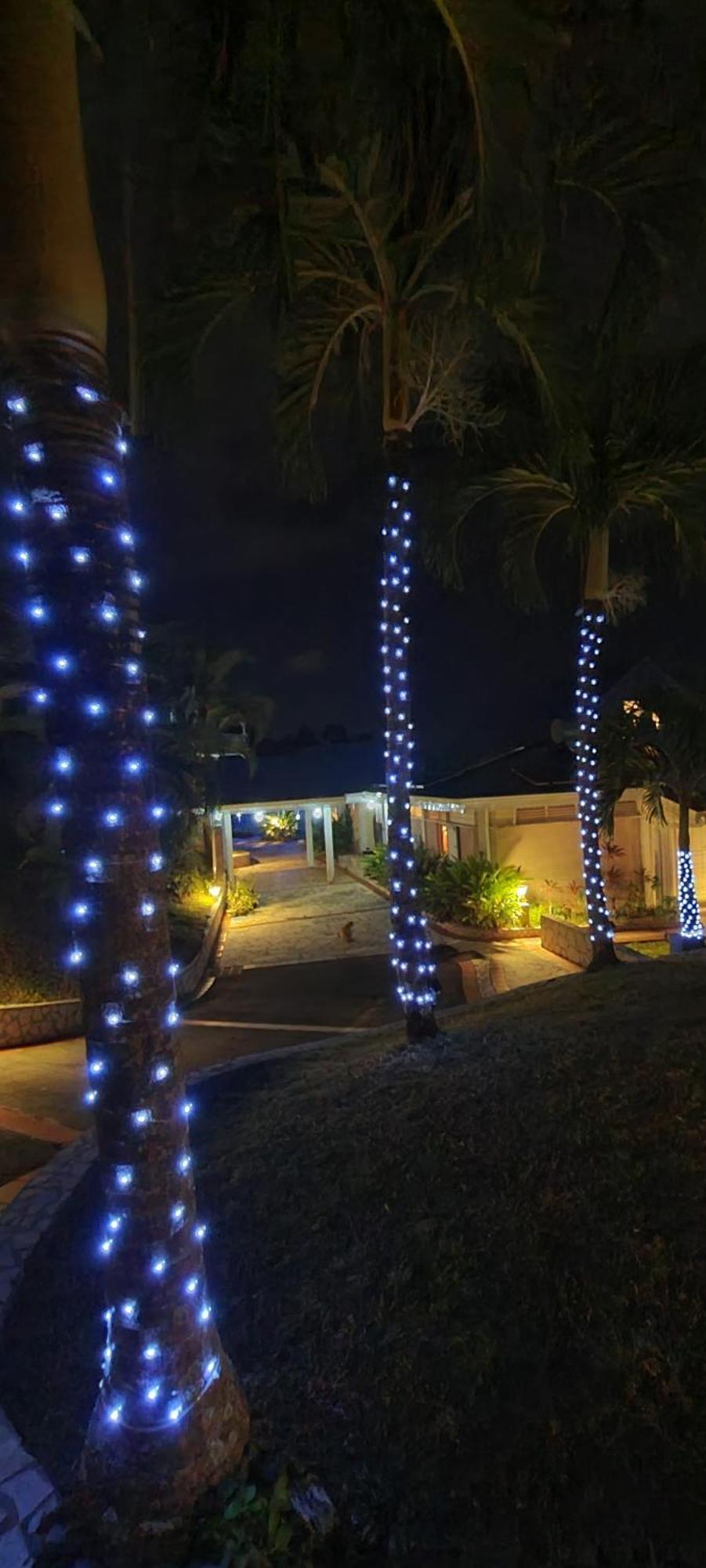 Pipirite Chantant - Maison Creole Vue Mer Сент-Роз Екстер'єр фото